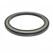 High pressure oil seal 95x120x8 BAHDSL15 NBR [Poclain MG21]